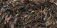 Sauvage | Carpet Sign