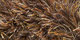 Sauvage | Carpet Sign