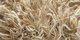 Sauvage | Carpet Sign