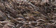 Sauvage | Carpet Sign