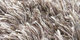 Sauvage | Carpet Sign