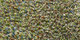 Lilain | Carpet Sign