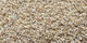 Lilain | Carpet Sign