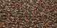Lilain | Carpet Sign