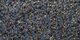 Lilain | Carpet Sign