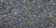 Lilain | Carpet Sign