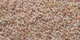 Lilain | Carpet Sign