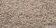 Lilain | Carpet Sign