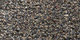 Lilain | Carpet Sign