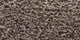 Lilain | Carpet Sign