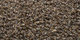 Lilain | Carpet Sign