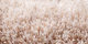 Merino | Carpet Sign