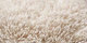 Merino | Carpet Sign