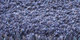 Merino | Carpet Sign