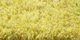 Merino | Carpet Sign