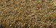 Merino | Carpet Sign