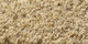 Merino | Carpet Sign