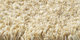Merino | Carpet Sign