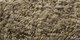 Merino | Carpet Sign