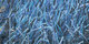 Atlantique | Carpet Sign