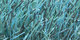 Atlantique | Carpet Sign