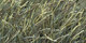 Atlantique | Carpet Sign