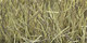 Atlantique | Carpet Sign