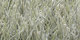 Atlantique | Carpet Sign
