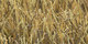 Atlantique | Carpet Sign