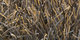 Atlantique | Carpet Sign