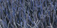 Atlantique | Carpet Sign