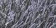 Atlantique | Carpet Sign