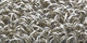 Atlantique | Carpet Sign