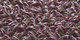 Atlantique | Carpet Sign