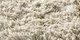 Quivive | Carpet Sign