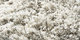Quivive | Carpet Sign