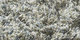 Quivive | Carpet Sign