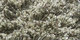 Quivive | Carpet Sign
