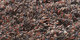 Quivive | Carpet Sign