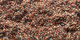Quivive | Carpet Sign