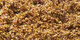 Quivive | Carpet Sign