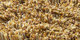 Quivive | Carpet Sign