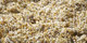 Quivive | Carpet Sign