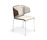 Carma | Casala