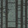 Lines | Kamism