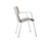 630 Tulipa | FIGUERAS