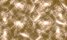 Nature Ray Charles Wallpaper | Camilla Diedrich Walls