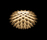 Palm | Freedom Of Creation