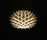 Palm | Freedom Of Creation