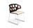 Carma | Casala